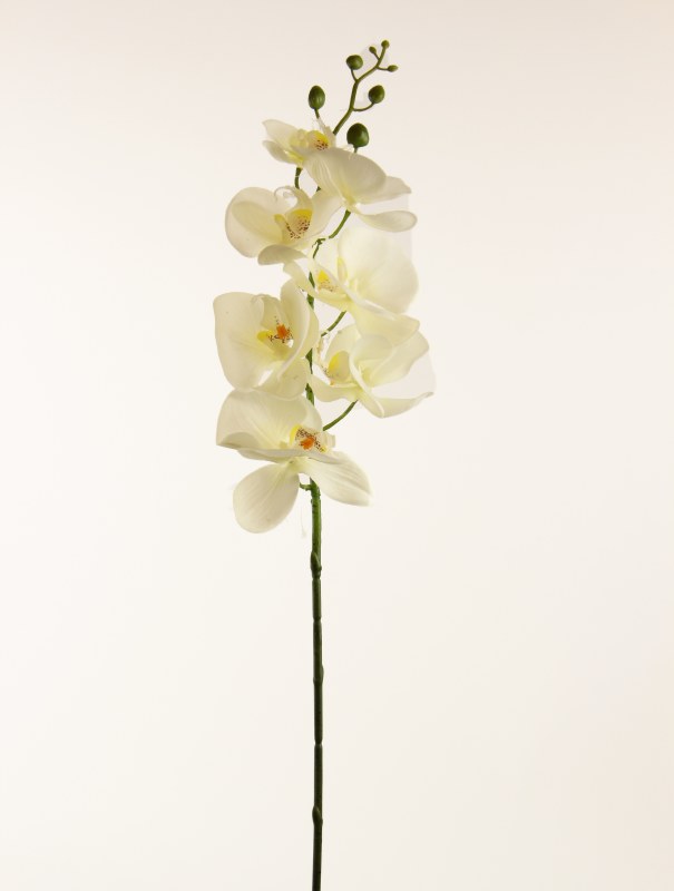 Picture of Artificial Orchid Phalaenopsis Real Touch Stem Cream